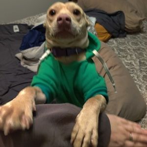 Meet your Posher, Brynn